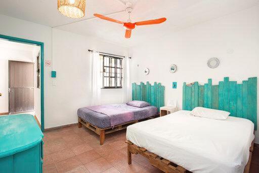 Casa Calido Hotel コスメル 部屋 写真